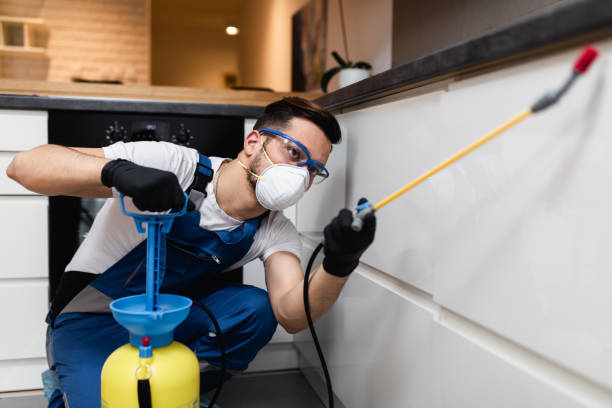 Best Flea Control Services  in Centerfield, UT