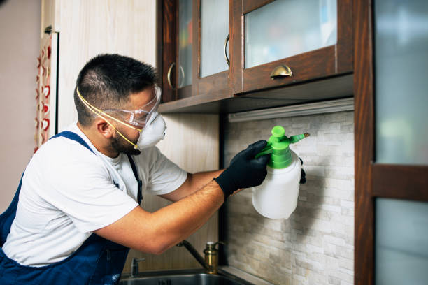 Best Cockroach Control Services  in Centerfield, UT