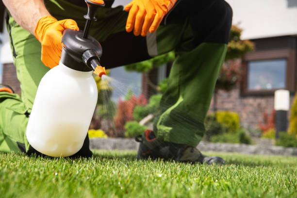 Best Pest Inspection Near Me  in Centerfield, UT