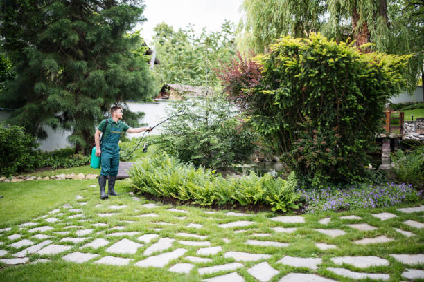 Best Best Pest Control Companies  in Centerfield, UT