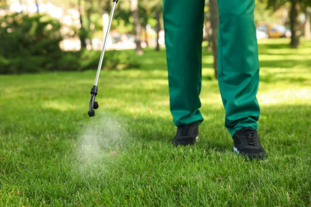 Best Residential Pest Control  in Centerfield, UT