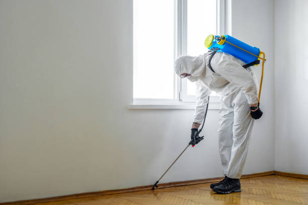 Best Bed Bug Extermination  in Centerfield, UT