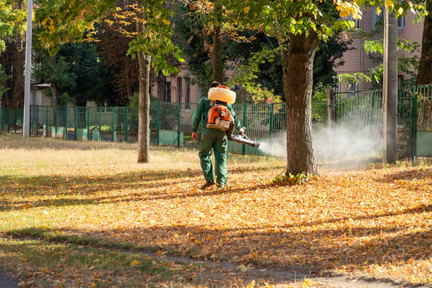 Best Insect Control  in Centerfield, UT