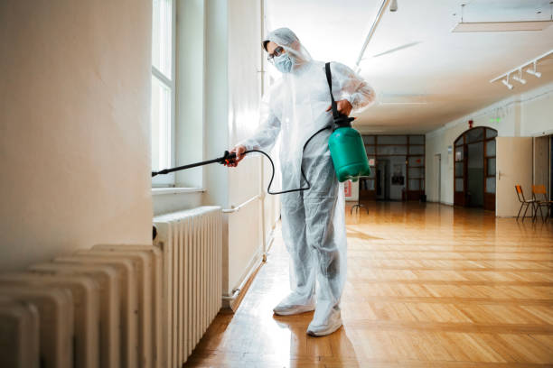 Best Bed Bug Extermination  in Centerfield, UT