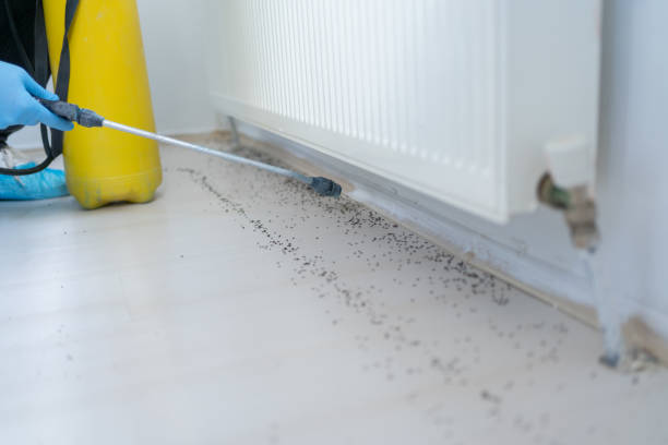 Best Pest Removal Services  in Centerfield, UT