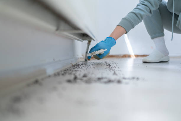 Trusted Centerfield, UT Pest Control Experts